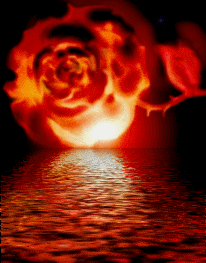rose ds la nui