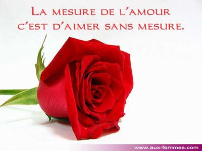 l'amour