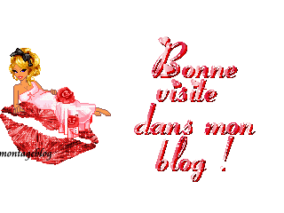 bne visite
