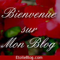 welcome to my vip blog